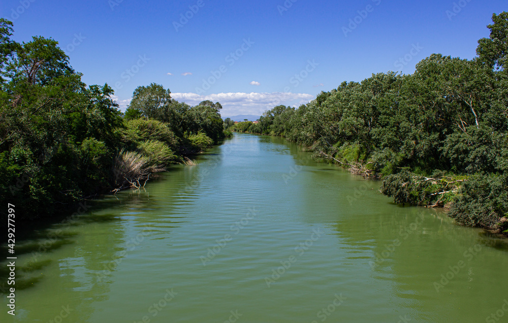 Ombrone river surrounded by greenery. Alberese, Tuscany, Italy. Green waters of the river that flow in the middle of the luxuriant vegetation with the background of blue sky with some white clouds.