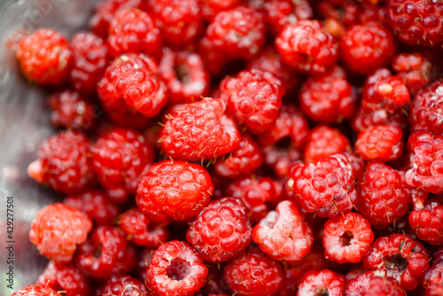 Raspberries background. Fresh red berries of ripe raspberries