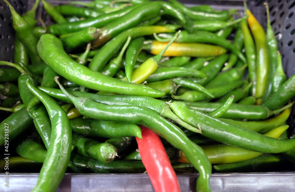 Still life with lot of long ripe green chili peppers inside black plastic box in the vegetable department store shop top view close up Still life with lot of long ripe green chili peppers inside black plastic box in the vegetable department store shop top view close up
