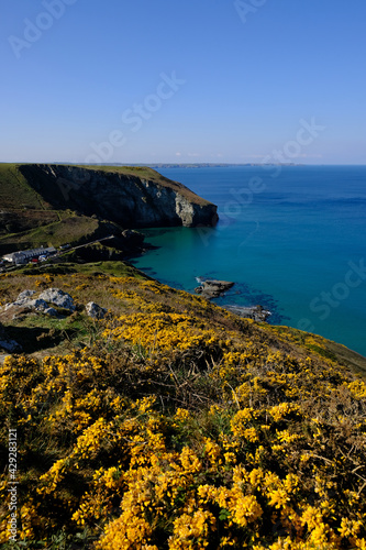 A wide angle portrait photo of Trebarwith strand from the south west coast path