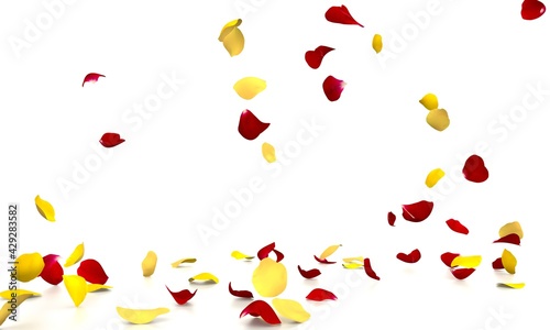 Yellow and red rose petals fall beautifully on the reflective white floor