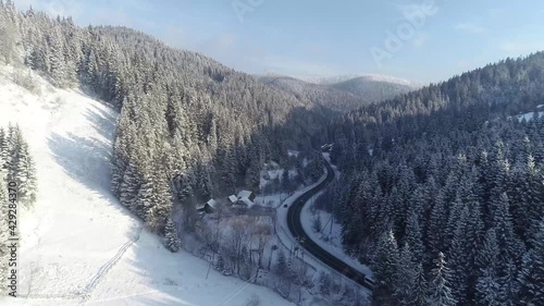 Road and coniferous forest. View from the top to the road and cars. The view from the drone on the road and the car.