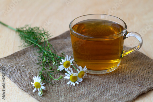 mug of chamomile tea on sackcloth. glass cup of hot Herbal chamomile tea on a wooden table with copy space with fresh flowers and green leaves on light background. hot drinks.