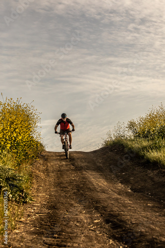 A man wearing a helmet rides a mountain bike downhill on a dirt road lined with yellow wildflowers in Southern California. 
