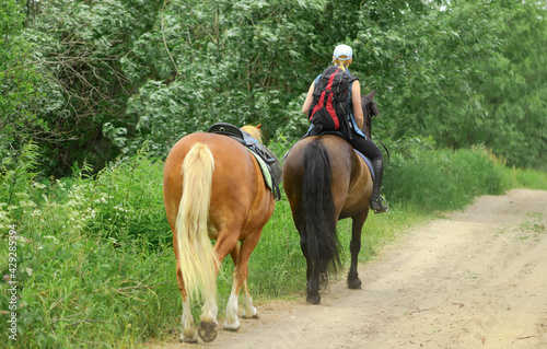 Caucasian woman and two horses are walking on rural road, behind view.
