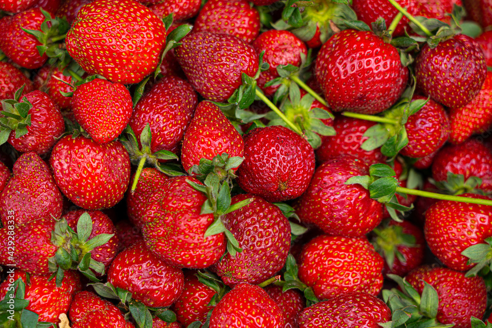 background in the form of ripe strawberries background in the form of ripe strawberries