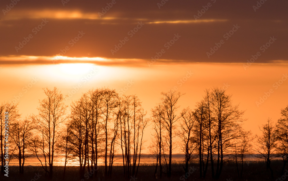 Εκτύπωση καμβά Beautiful coastal view to the golden sunset colored sky and water with the coast