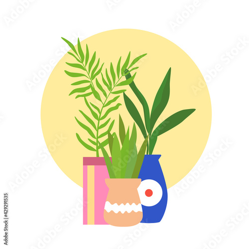 Vector houseplants in beautiful painted pots.Vector illustration.