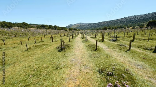  Sad hill cementery, a location of one of the scenes from the movie The Good, the Ugly and the Bad. Burgos province, Spain. High quality 4k footage photo