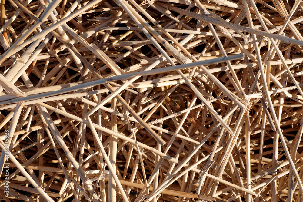 Straw abstract background texture close-up with sunlight Straw abstract background texture close-up with sunlight