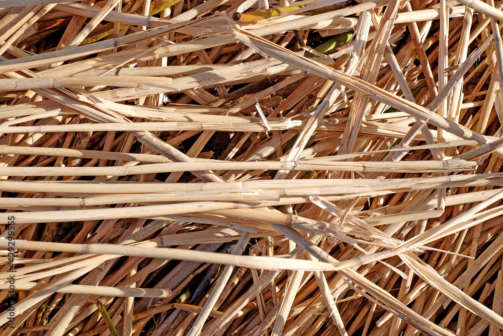 Straw abstract background texture close-up with sunlight Straw abstract background texture close-up with sunlight