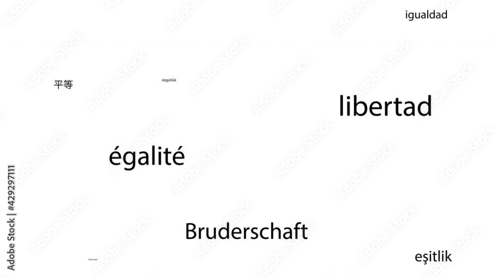 Animated Black And White Poster Flickering Text In Different Languages Significant Words Are 