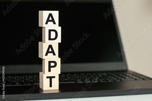 Billede på lærred adapt word made with building blocks on the black keyboard