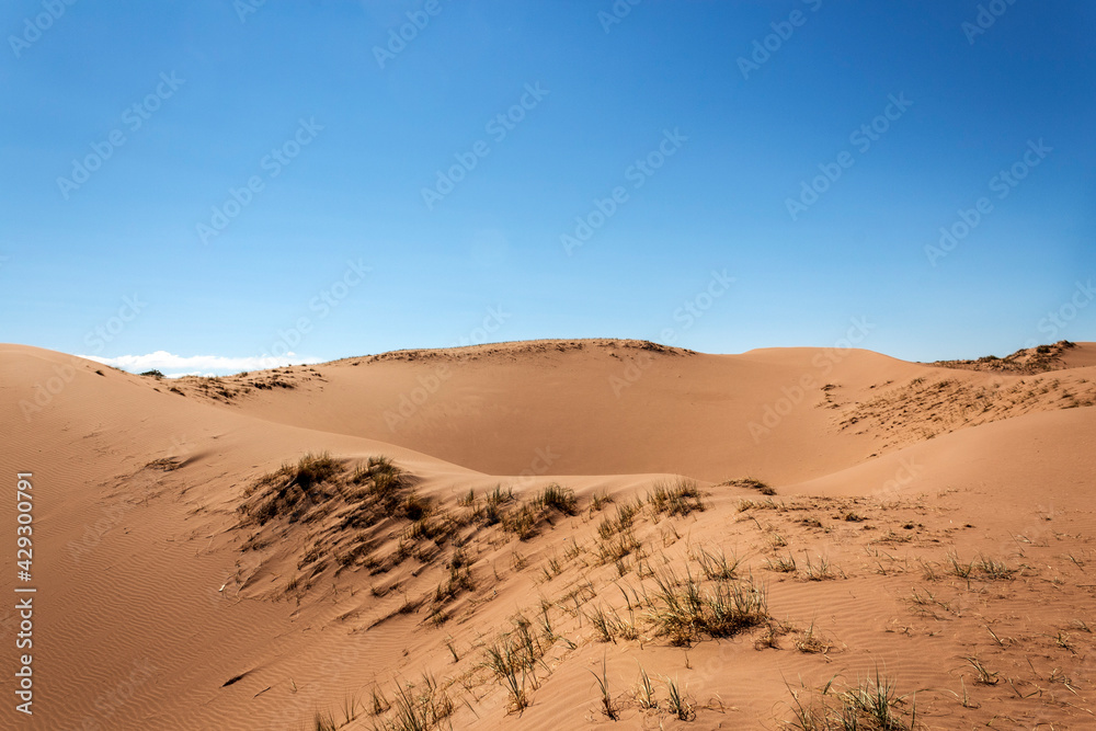 Un día en el desierto