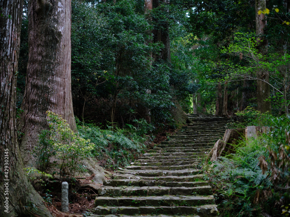 熊野古道 Stock 写真 Adobe Stock