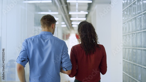 Tableau sur toile Back view colleagues talking while walking office