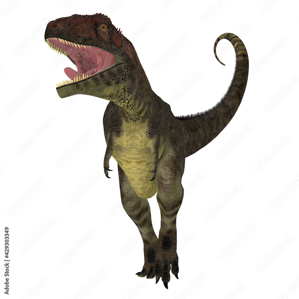 Mapusaurus Dinosaur Aggression - Mapusaurus was a carnivorous theropod dinosaur that lived in Argentina during the Cretaceous Period. Mapusaurus Dinosaur Aggression - Mapusaurus was a carnivorous theropod dinosaur that lived in Argentina during the Cretaceous Period.