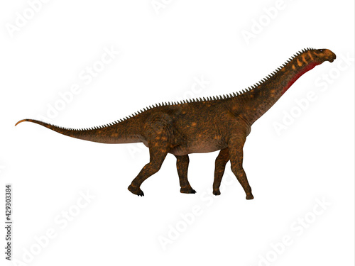 Mierasaurus Dinosaur Full Length - Mierasaurus was a herbivorous sauropod dinosaur that lived in Utah  USA during the Cretaceous Period.