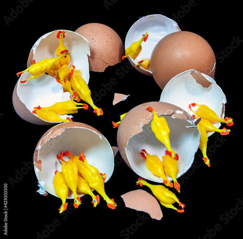 Photo Rubber chicken hatchlings on black background. Humor. Fun.