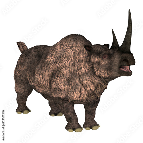 Woolly Rhino over White - The Woolly rhinoceros was a herbivorous mammal that lived in Europe and Asia during the Pleistocene Period.