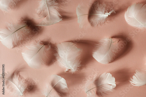 Beautiful airy gentle natural background with white swan feathers. Light pastel pink backdrop for women's day, valentines, mother's day, wedding or birthday. Minimal concept.