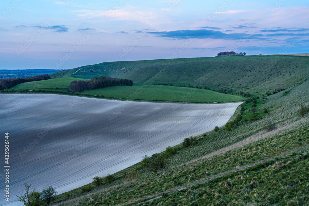 Fototapeta premium view of the Southern edge of Pewsey Vale with copse woodland in the up-faulted valley near Pewsey, Wiltshire, North Wessex Downs AONB