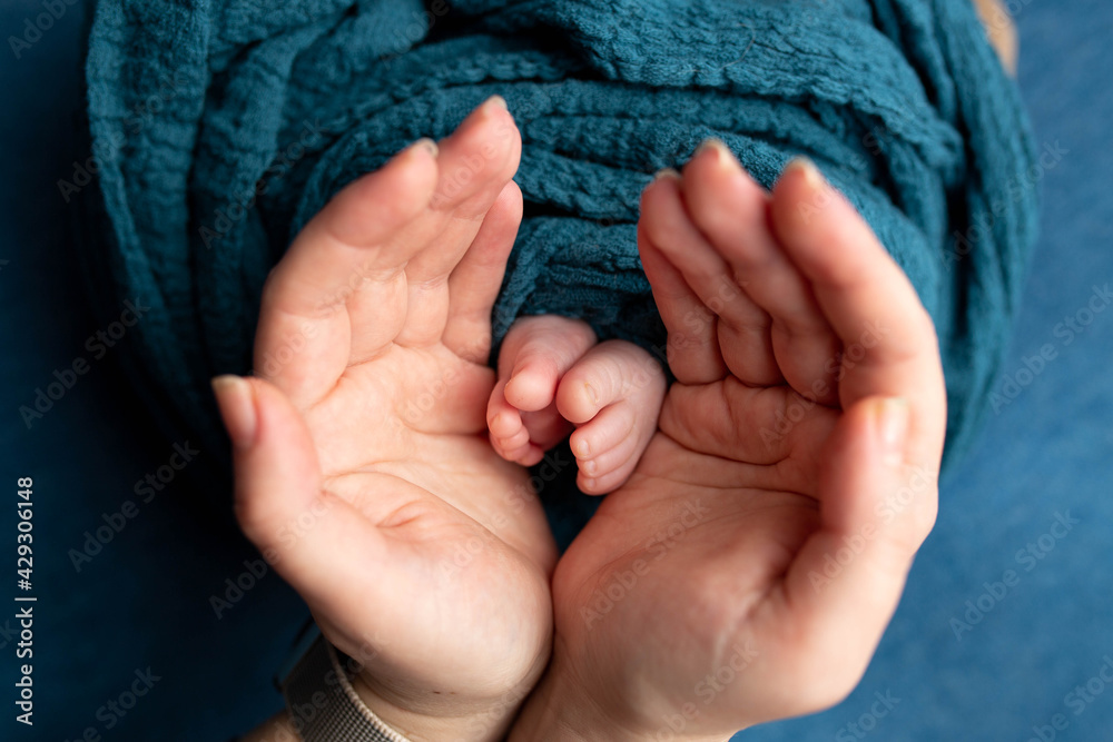 the legs of the newborn in the arms of my mother. legs in hands on blue background the legs of the newborn in the arms of my mother. legs in hands on blue background
