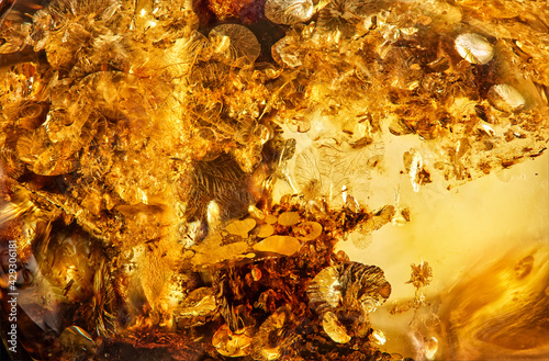 Natural amber texture in detail. Transparent vintage fossilized tree resin abstract background. Red baltic amber mineral close up. Ancient sun stone with inclusions macro shot. Jewelry, medicine agent