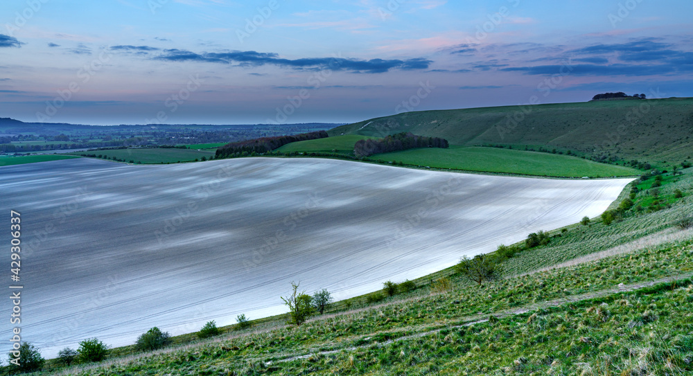 view of the Southern edge of Pewsey Vale with copse woodland in the up-faulted valley near Pewsey, Wiltshire, North Wessex Downs AONB