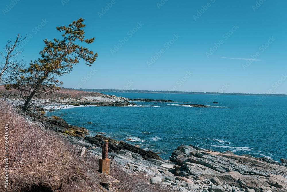 East coast beach landscape photography. Rocky shoreline with overhanging tree on New England beach