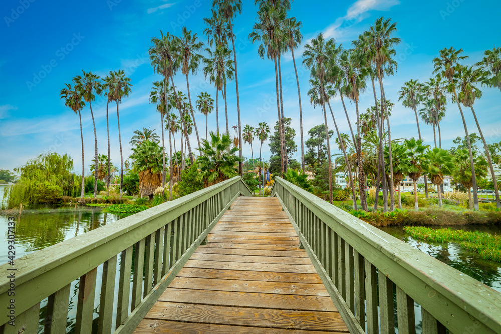 Small bridge in Echo park lake under a blue sky Small bridge in Echo park lake under a blue sky