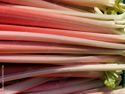 red and green onions