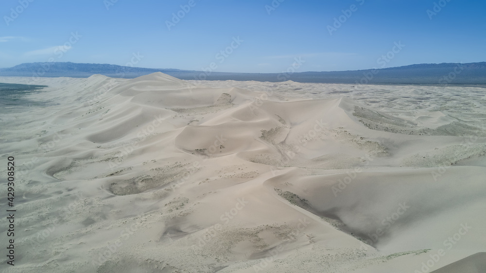 Fototapeta premium sand dunes in the Gobi desert in Mongolia