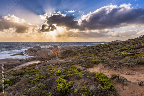 Golden Rays