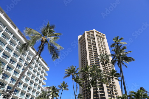 Luxury Hotels and Palm Trees at Waikiki Beach, Hawaii 