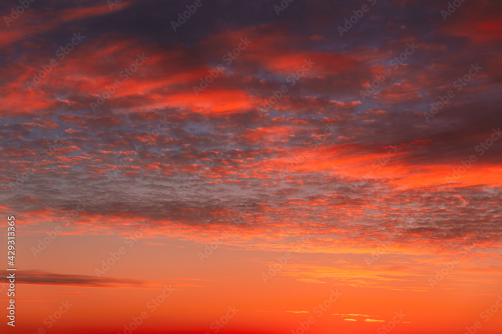 Sunset Cloudy Sky With Clouds. Sunset Sky Natural Background. Dramatic Sky. Sunset In Yellow, Orange, Pink Colors