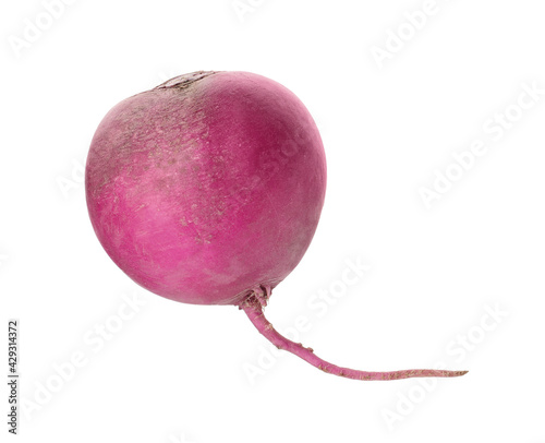 Whole fresh ripe turnip on white background