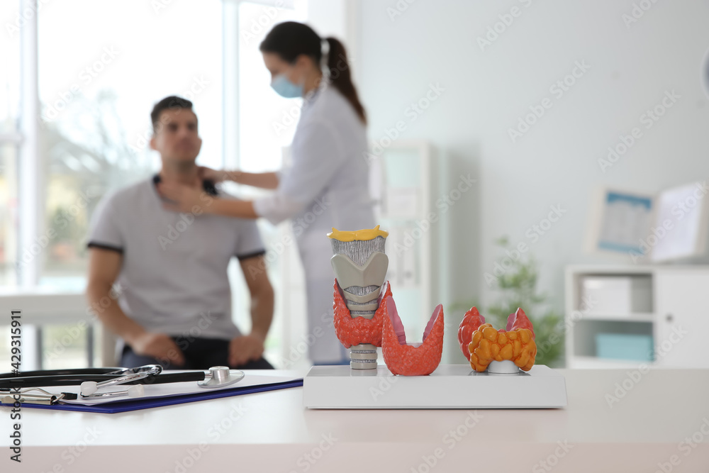 Doctor examining patient in office, focus on plastic model of healthy and afflicted thyroids Doctor examining patient in office, focus on plastic model of healthy and afflicted thyroids