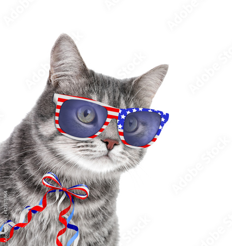 Cute cat with sunglasses and bow on white background. Concept of federal holidays in USA