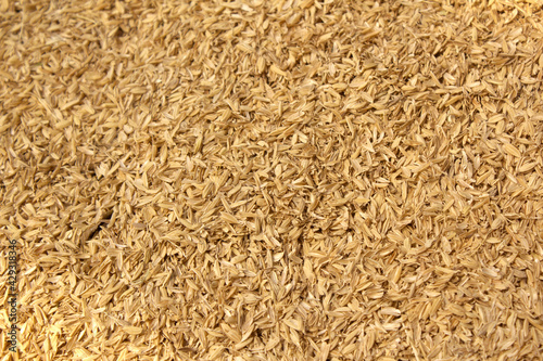 rice peel after harvest and hull background.
