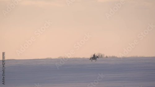 Wide panoramic shot of a woman riding a horse in a snowed field during the sunset.