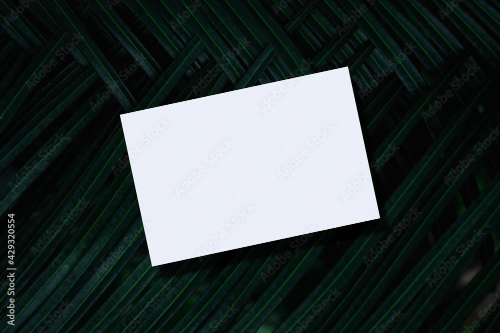 Closeup of empty white paper mockup on green palm leaf background. Closeup of empty white paper mockup on green palm leaf background.