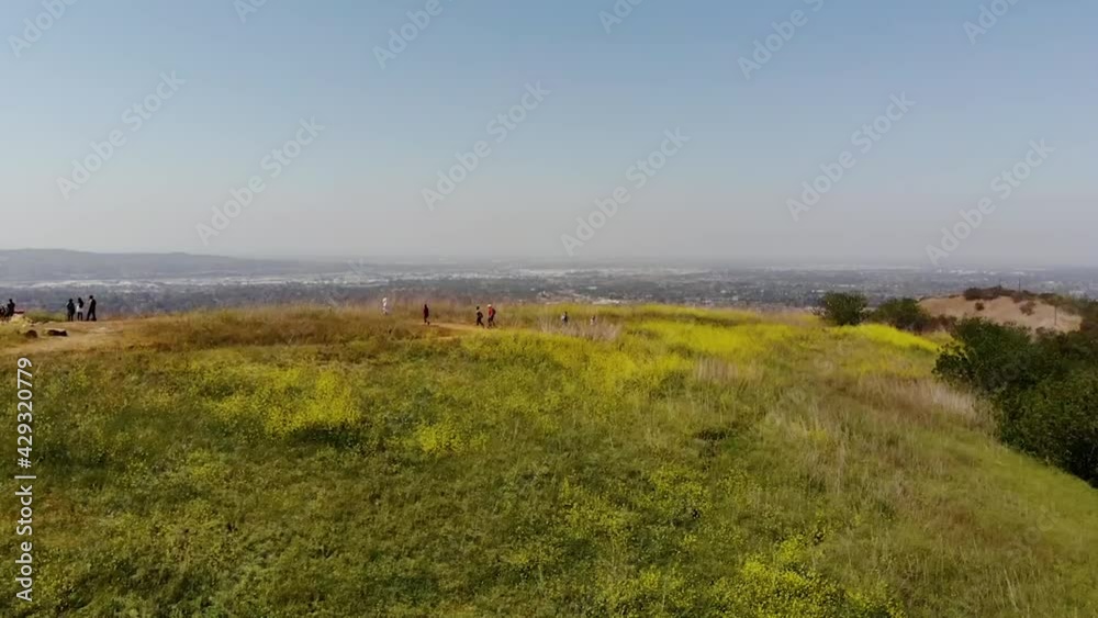 Spring is in the air in Southern California. The wild flowers are in bloom and making the foothills gorgeous. Spring is in the air in Southern California. The wild flowers are in bloom and making the foothills gorgeous.