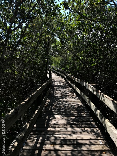 path in the woods