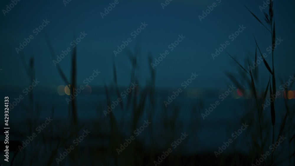 Blurry seascape at night: long grass on shoreline in foreground, bokeh lights in background Blurry seascape at night: long grass on shoreline in foreground, bokeh lights in background