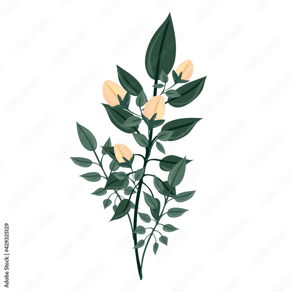 A branch of a blossoming tree. Leaves and flowers. Unblown bud. Isolated vector botanical clip art element for design. A branch of a blossoming tree. Leaves and flowers. Unblown bud. Isolated vector botanical clip art element for design.