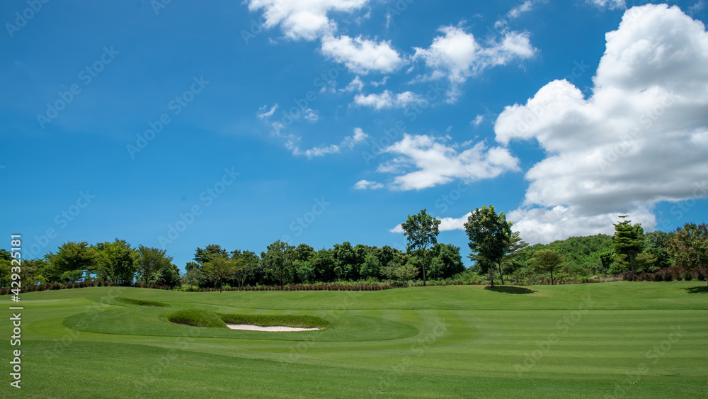 Beautiful view landscape in morning time green grass at golf course ,big trees, sand bunker and mist with sunlight rays background. Beautiful view landscape in morning time green grass at golf course ,big trees, sand bunker and mist with sunlight rays background.