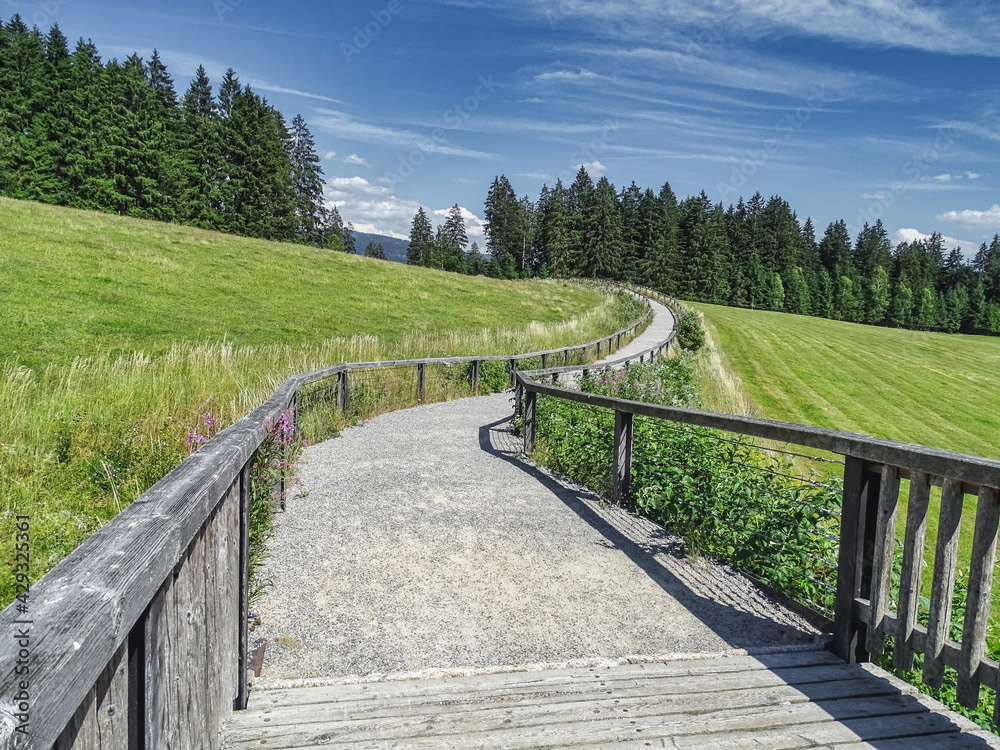 Hiking path and bridge at the national park in the bavarian forest Hiking path and bridge at the national park in the bavarian forest