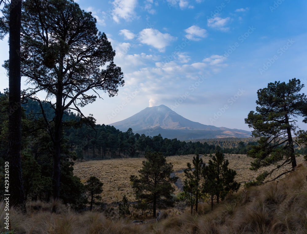 Obraz premium Dry grassy field with the smoky Popocatepetl stratovolcano in the background in Mexico