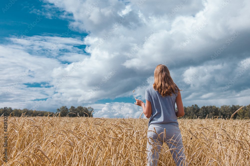Harvest: ripe wheat grows in the field. Golden grain anda girl walks across the field Harvest: ripe wheat grows in the field. Golden grain anda girl walks across the field